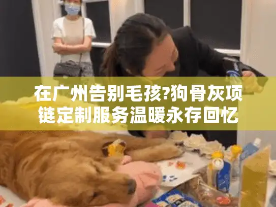 在广州告别毛孩?狗骨灰项链定制服务温暖永存回忆