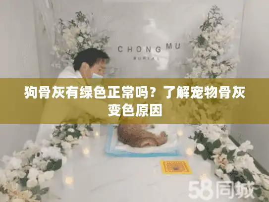 狗骨灰有绿色正常吗？了解宠物骨灰变色原因