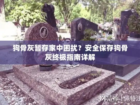狗骨灰暂存家中困扰？安全保存狗骨灰终极指南详解