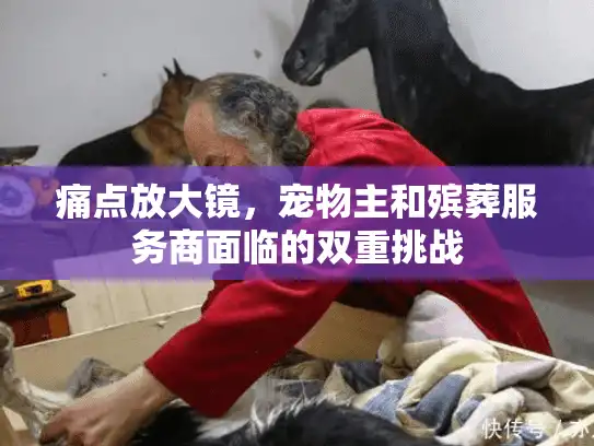 痛点放大镜，宠物主和殡葬服务商面临的双重挑战