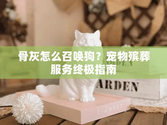 骨灰怎么召唤狗？宠物殡葬服务终极指南