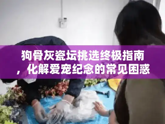 狗骨灰瓷坛挑选终极指南，化解爱宠纪念的常见困惑
