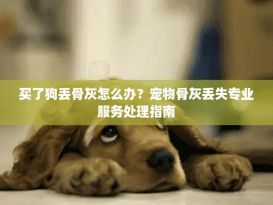 买了狗丢骨灰怎么办？宠物骨灰丢失专业服务处理指南