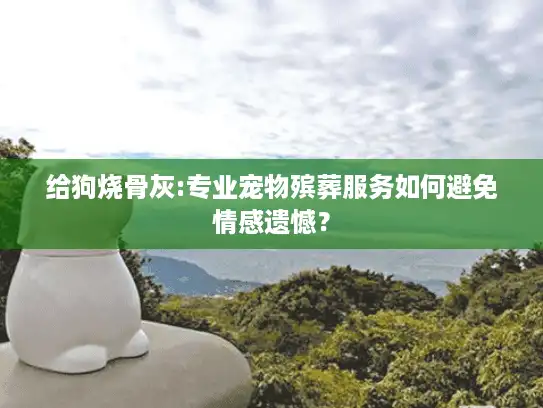 给狗烧骨灰:专业宠物殡葬服务如何避免情感遗憾？