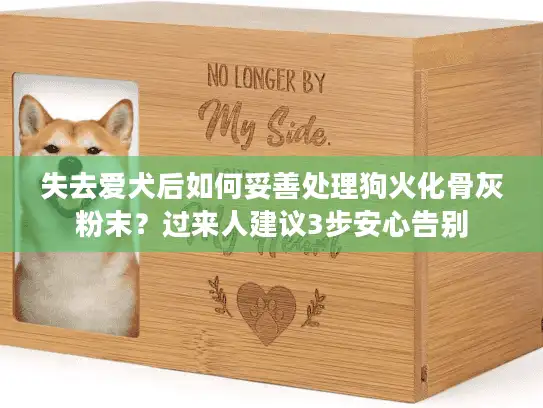 失去爱犬后如何妥善处理狗火化骨灰粉末？过来人建议3步安心告别