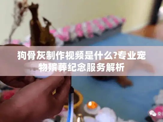 狗骨灰制作视频是什么?专业宠物殡葬纪念服务解析