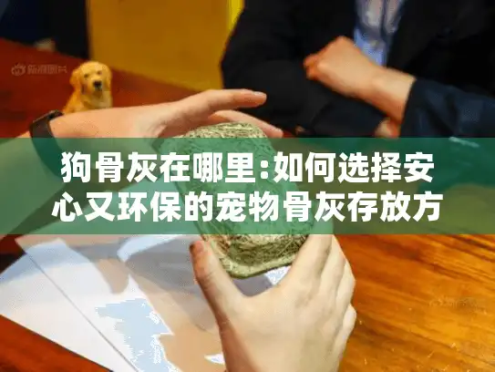 狗骨灰在哪里:如何选择安心又环保的宠物骨灰存放方案?