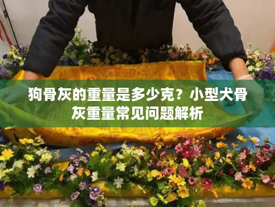 狗骨灰的重量是多少克？小型犬骨灰重量常见问题解析