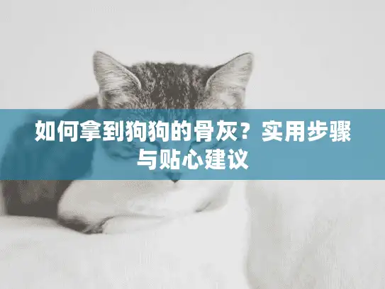 如何拿到狗狗的骨灰？实用步骤与贴心建议