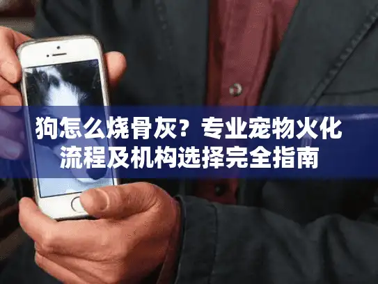 狗怎么烧骨灰？专业宠物火化流程及机构选择完全指南