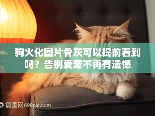 狗火化图片骨灰可以提前看到吗？告别爱宠不再有遗憾