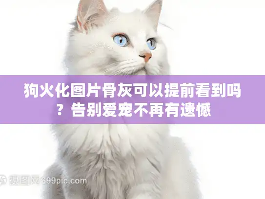 狗火化图片骨灰可以提前看到吗？告别爱宠不再有遗憾