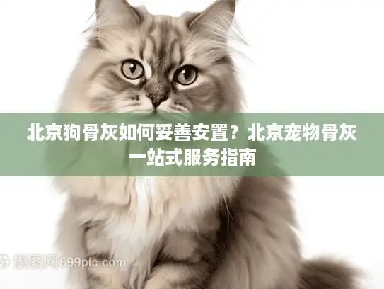 北京狗骨灰如何妥善安置？北京宠物骨灰一站式服务指南