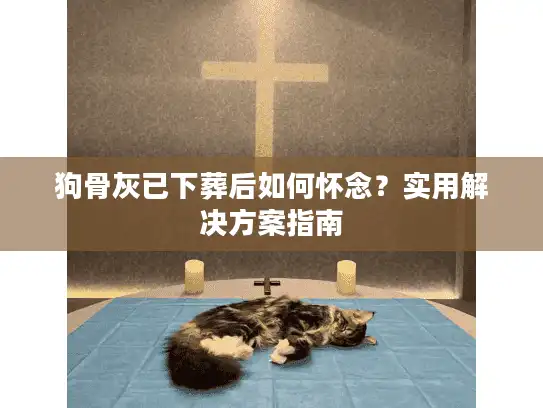狗骨灰已下葬后如何怀念？实用解决方案指南