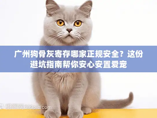 广州狗骨灰寄存哪家正规安全？这份避坑指南帮你安心安置爱宠
