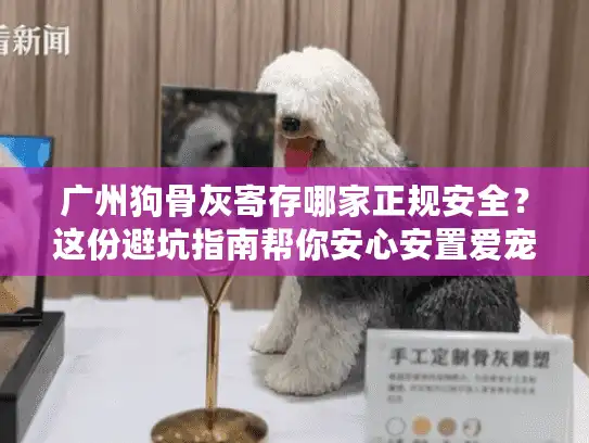 广州狗骨灰寄存哪家正规安全？这份避坑指南帮你安心安置爱宠