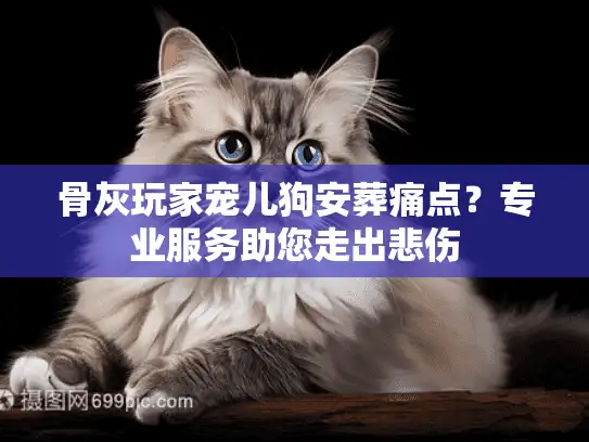 骨灰玩家宠儿狗安葬痛点？专业服务助您走出悲伤