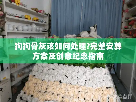 狗狗骨灰该如何处理?完整安葬方案及创意纪念指南