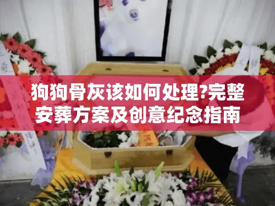 狗狗骨灰该如何处理?完整安葬方案及创意纪念指南
