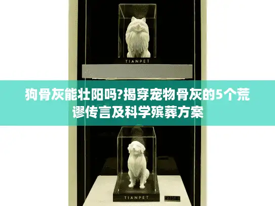 狗骨灰能壮阳吗?揭穿宠物骨灰的5个荒谬传言及科学殡葬方案