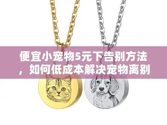 便宜小宠物5元下告别方法，如何低成本解决宠物离别伤痛？