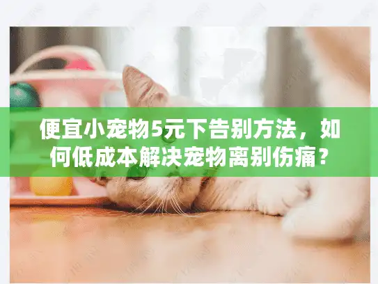 便宜小宠物5元下告别方法，如何低成本解决宠物离别伤痛？