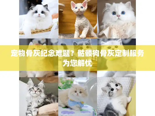 宠物骨灰纪念难题？骷髅狗骨灰定制服务为您解忧