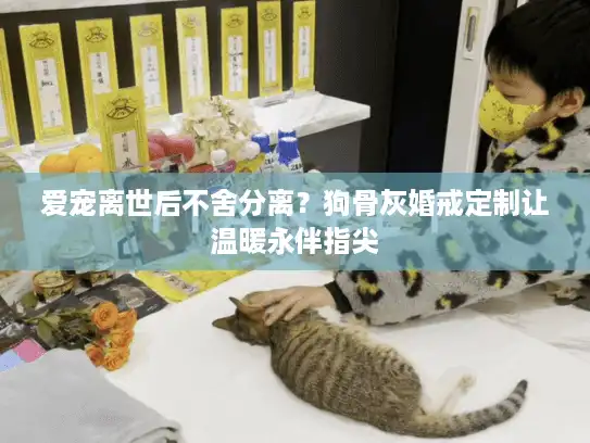 爱宠离世后不舍分离？狗骨灰婚戒定制让温暖永伴指尖