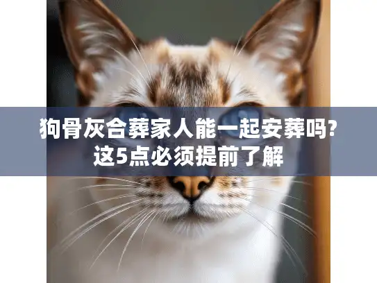 狗骨灰合葬家人能一起安葬吗?这5点必须提前了解
