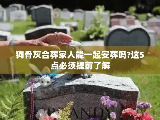 狗骨灰合葬家人能一起安葬吗?这5点必须提前了解