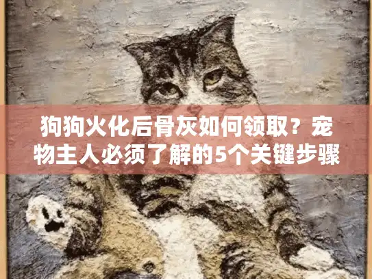 狗狗火化后骨灰如何领取？宠物主人必须了解的5个关键步骤
