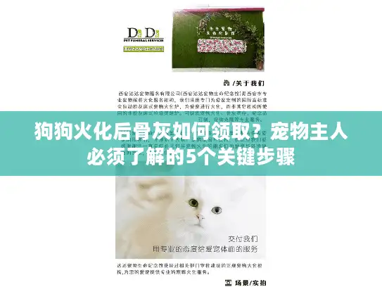 狗狗火化后骨灰如何领取？宠物主人必须了解的5个关键步骤