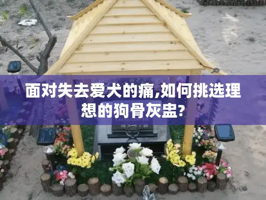 面对失去爱犬的痛,如何挑选理想的狗骨灰盅?