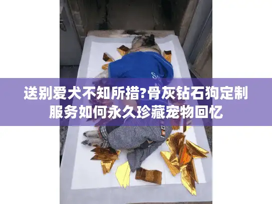 送别爱犬不知所措?骨灰钻石狗定制服务如何永久珍藏宠物回忆