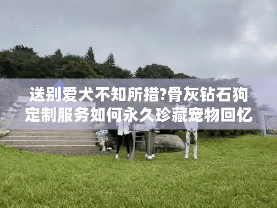 送别爱犬不知所措?骨灰钻石狗定制服务如何永久珍藏宠物回忆