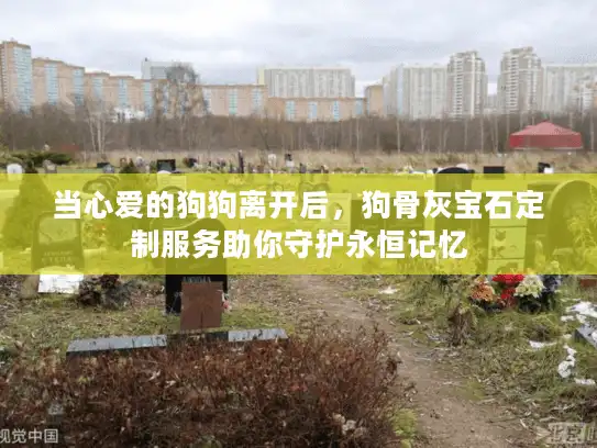 当心爱的狗狗离开后，狗骨灰宝石定制服务助你守护永恒记忆