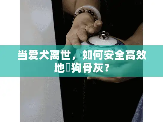 当爱犬离世，如何安全高效地買狗骨灰？