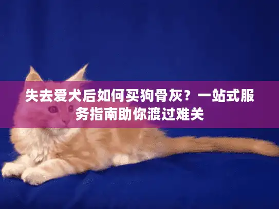 失去爱犬后如何买狗骨灰？一站式服务指南助你渡过难关