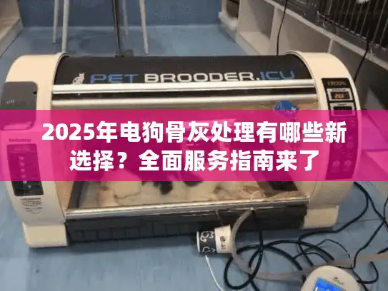 2025年电狗骨灰处理有哪些新选择？全面服务指南来了