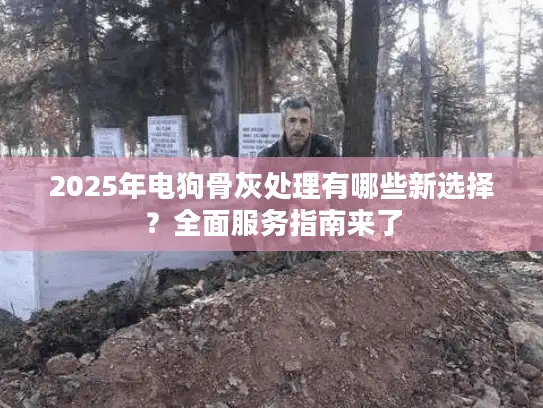 2025年电狗骨灰处理有哪些新选择？全面服务指南来了