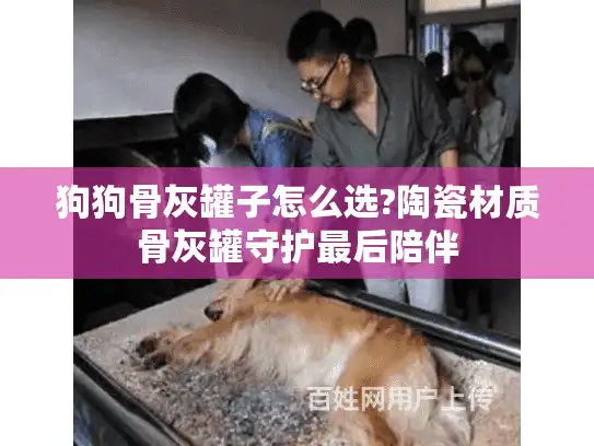 狗狗骨灰罐子怎么选?陶瓷材质骨灰罐守护最后陪伴