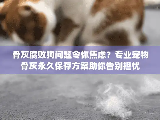 骨灰腐败狗问题令你焦虑？专业宠物骨灰永久保存方案助你告别担忧