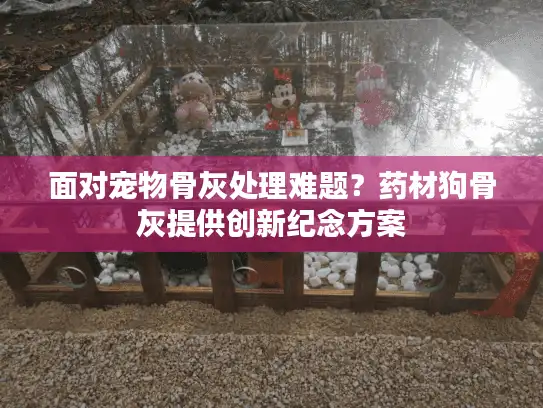 面对宠物骨灰处理难题？药材狗骨灰提供创新纪念方案