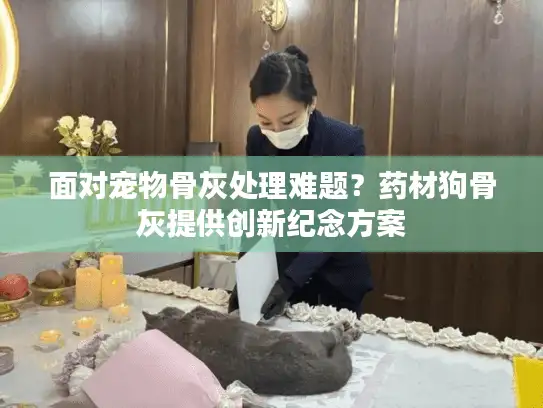 面对宠物骨灰处理难题？药材狗骨灰提供创新纪念方案