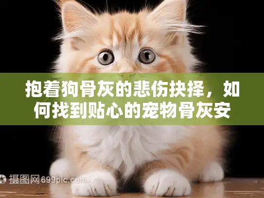 抱着狗骨灰的悲伤抉择，如何找到贴心的宠物骨灰安放服务？