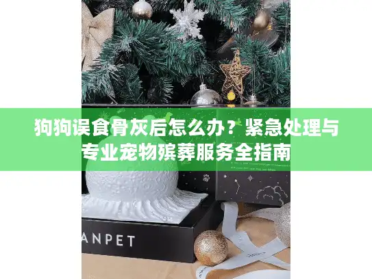 狗狗误食骨灰后怎么办？紧急处理与专业宠物殡葬服务全指南