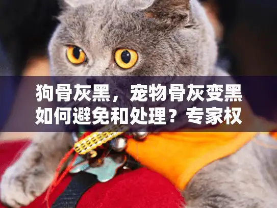 狗骨灰黑，宠物骨灰变黑如何避免和处理？专家权威解答