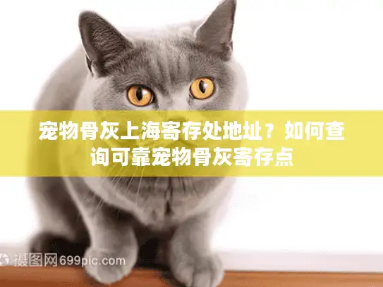 宠物骨灰上海寄存处地址？如何查询可靠宠物骨灰寄存点