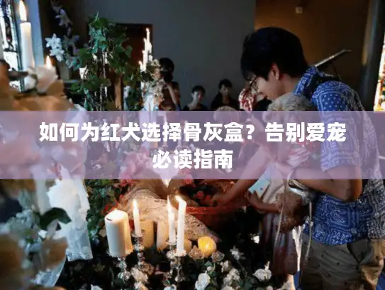 如何为红犬选择骨灰盒？告别爱宠必读指南
