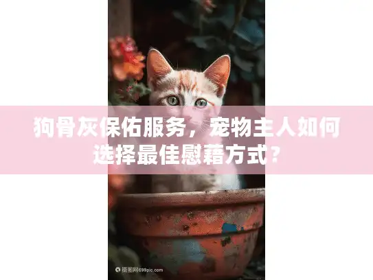 狗骨灰保佑服务，宠物主人如何选择最佳慰藉方式？
